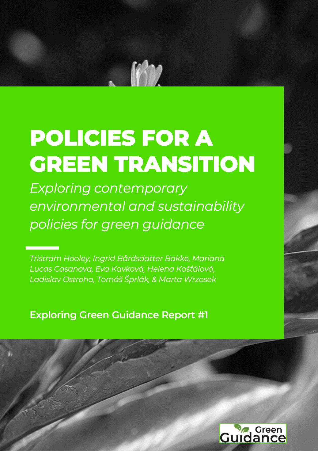 Green Guidance Policy Review Policies For A Green Transition Green